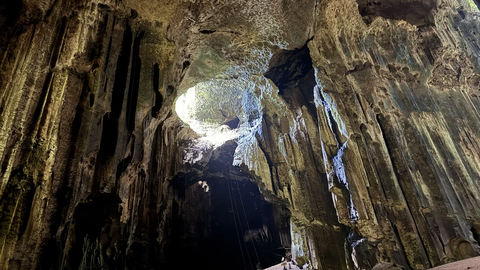 Inside Gomantong